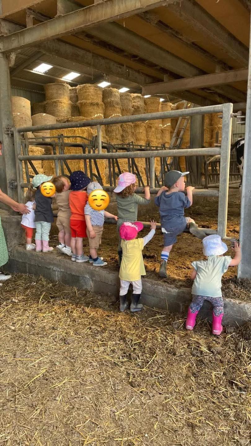 Gite A La Ferme Chez Magali Escaudoeuvres エクステリア 写真